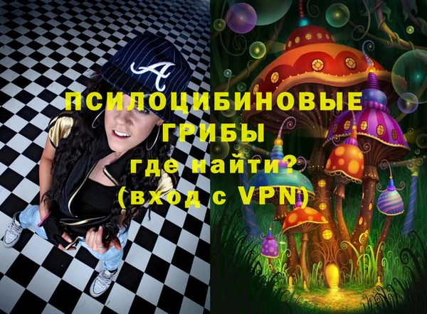 прущие грибы Алексеевка