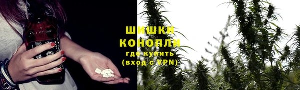 крисы Аркадак
