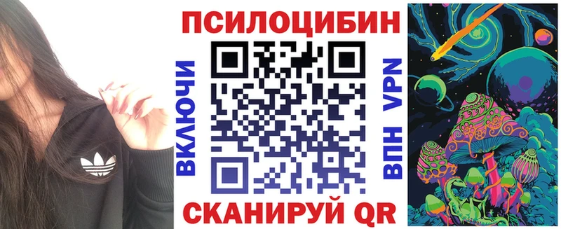 кракен вход  Курлово  Псилоцибиновые грибы Psilocybine cubensis 